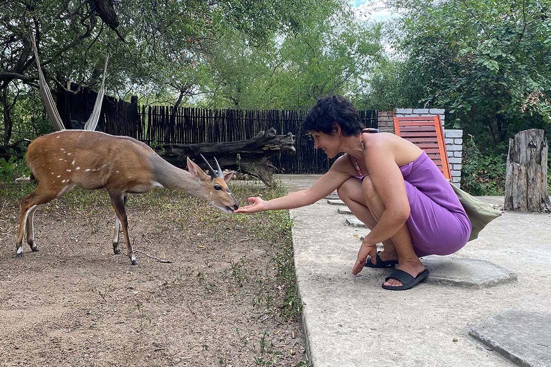 Making New Friends